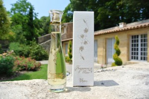 Fragrances of Wine Blanc Perfumes for Women
